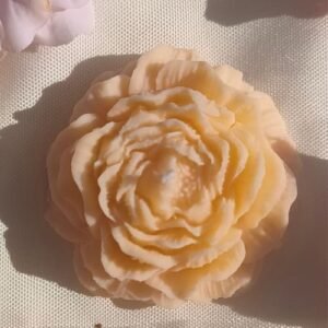 Pivoine jaune