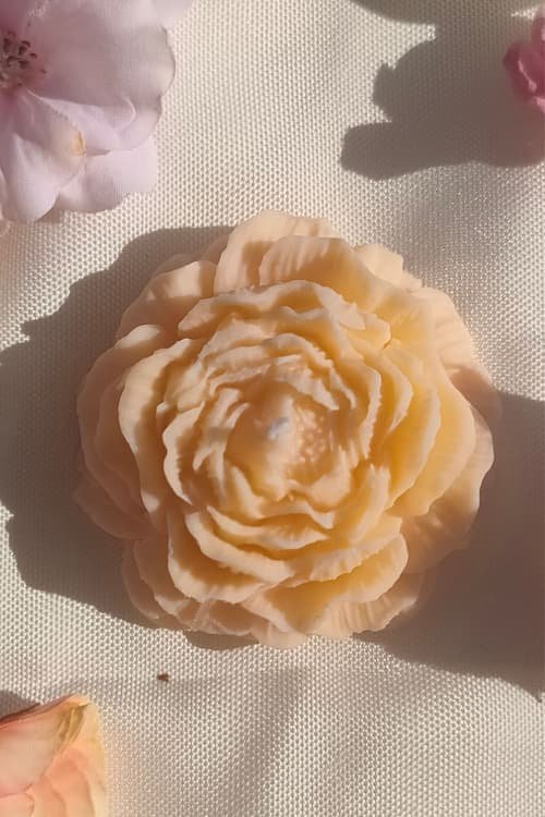 Pivoine jaune