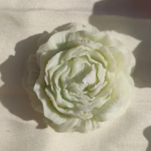 Fleur blanche