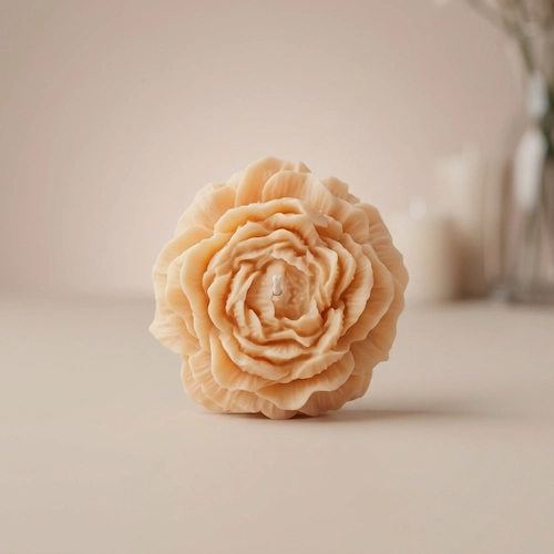 Fleur pivoine